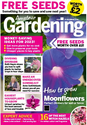 Amateur Gardening 31 December 2022