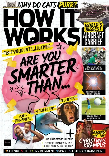 How It Works Issue 172 2022