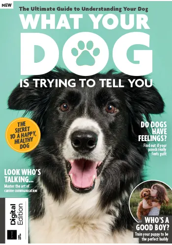 What Your Dog is Trying to Tell You 3rd Edition 2022