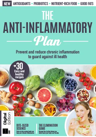 The Anti Inflammatory Plan 4th Edition 2023