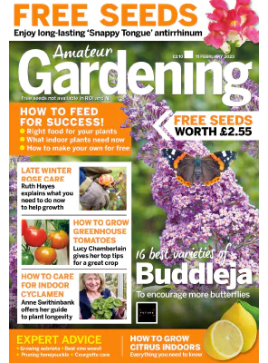 Amateur Gardening 11 Feb 2023