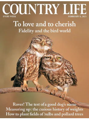 Country Life UK 08 February 2023 1