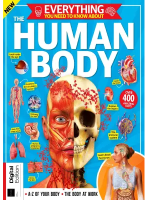 How it works Everything You Need To Know About The Human Body 1st Edition 2023 1