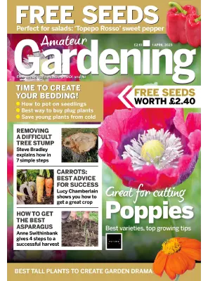 Amateur Gardening 01 April 2023