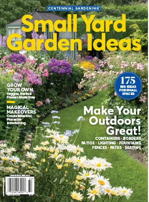 Small Yard Garden Ideas 2023
