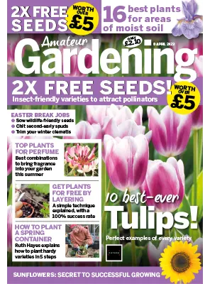 Amateur Gardening 08 April 2023