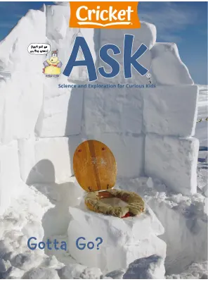 Ask April 2023