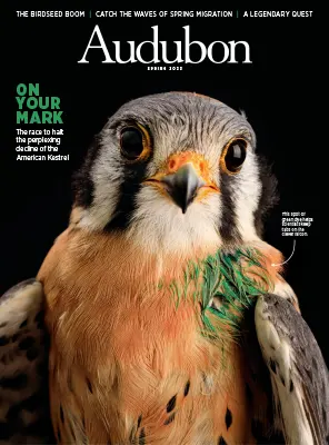 Audubon Magazine Spring 2023