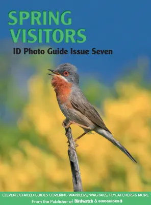 Bird ID Photo Guide Spring Visitors Issue 07 2023
