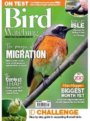 Bird Watching UK May 2023