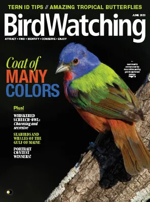 BirdWatching USA MayJune 2023