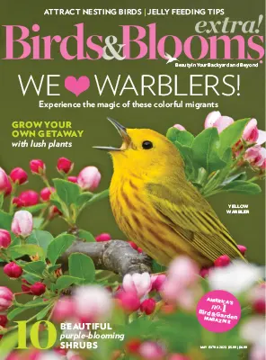 Birds and Blooms Extra May 2023