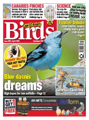Cage Aviary Birds Issue 6258 April 5 2023