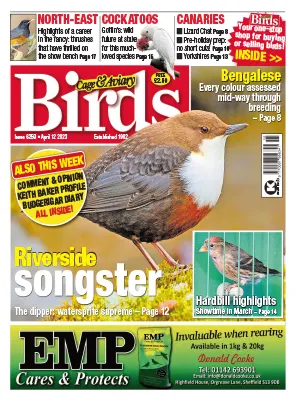 Cage Aviary Birds Issue 6259 April 12 2023