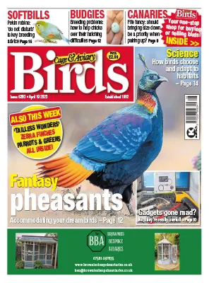 Cage Aviary Birds Issue 6260 April 19 2023