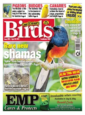 Cage Aviary Birds Issue 6261 April 26 2023