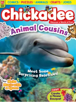 Chickadee May 2023