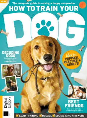 How to Train Your Dog 1st Edition 2023