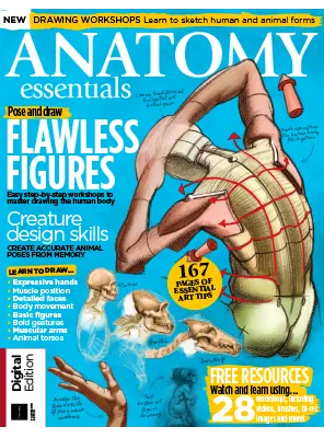 ImagineFX Presents Anatomy Essentials 14th Edition 2023