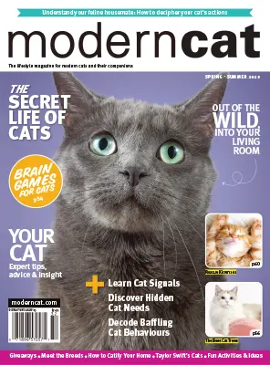 Modern Cat SpringSummer 2023