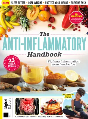 The Anti Inflammatory Handbook 1st Edition 2023 1