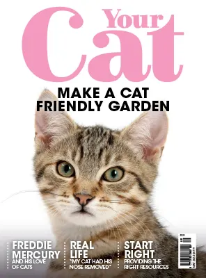 Your Cat May 2023