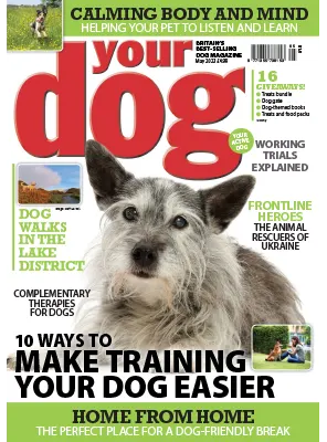 Your Dog Magazine May 2023