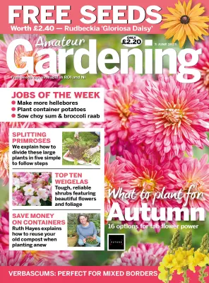 Amateur Gardening 3 June 2023