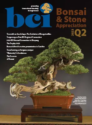 BCI Bonsai Stone Appreciation Magazine Q2 2023