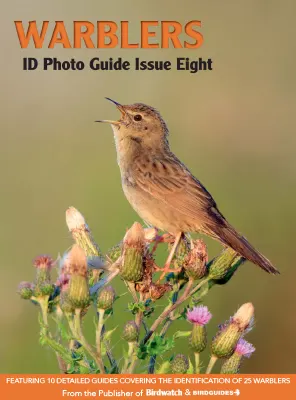 Bird ID Photo Guide – Warblers Issue 08 2023