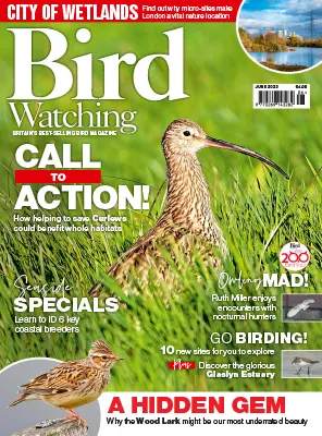 Bird Watching UK June 2023