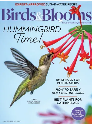 Birds Blooms JuneJuly 2023
