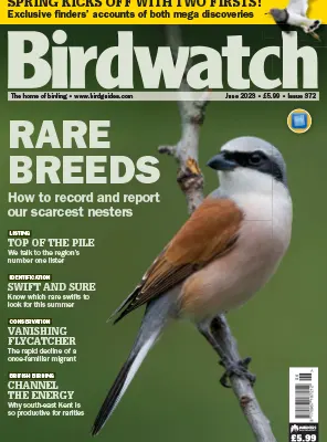 Birdwatch UK Issue 372 June 2023