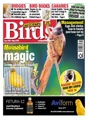Cage Aviary Birds Issue 6262 May 03 2023