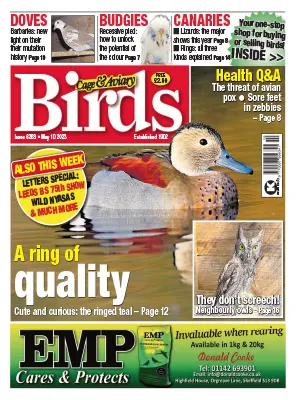 Cage Aviary Birds Issue 6263 May 10 2023