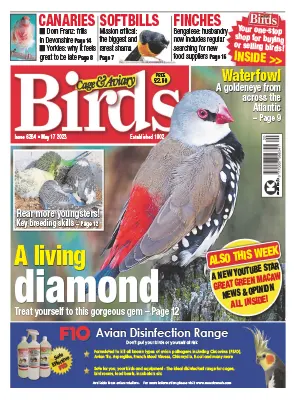 Cage Aviary Birds Issue 6264 May 17 2023