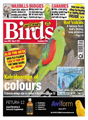 Cage Aviary Birds Issue 6266 May 31 2023