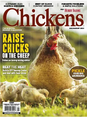 Chickens Vol. 14 No. 4 JulyAugust 2023