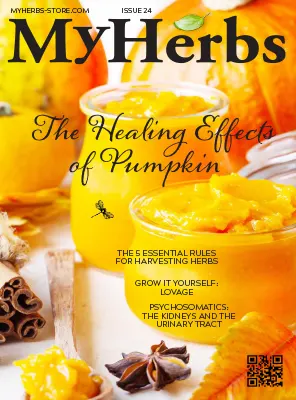 My Herbs Issue 24 2023