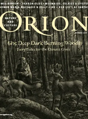 Orion Summer 2023