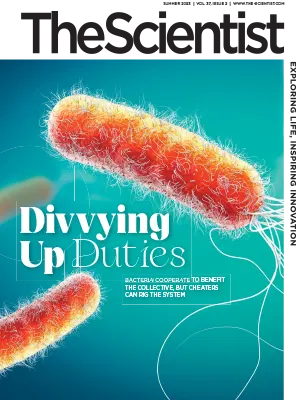 The Scientist Vol. 37 Issue 2 Summer 2023