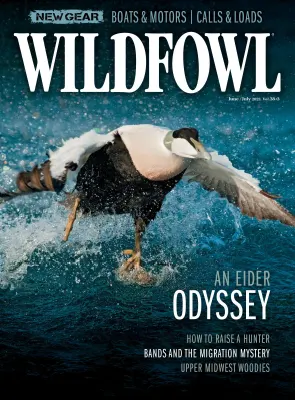 Wildfowl Vol. 38 Issue 03 JuneJuly 2023