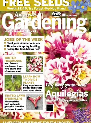 Amateur Gardening 17 June 2023