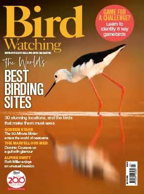 Bird Watching UK July 2023