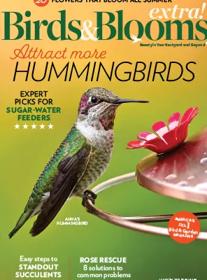 Birds and Blooms Extra July 2023