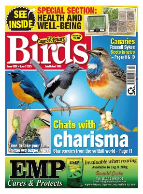 Cage Aviary Birds Issue 6267 June 7 2023