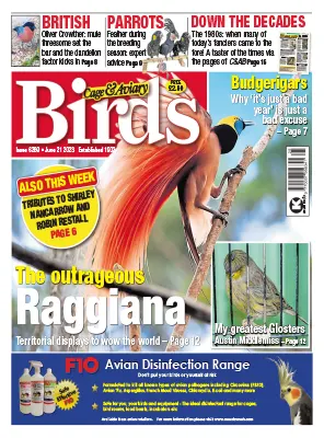Cage Aviary Birds Issue 6269 June 21 2023