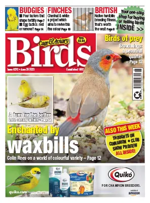 Cage Aviary Birds Issue 6270 June 28 2023