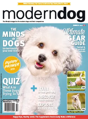 Modern Dog Canada Summer 2023