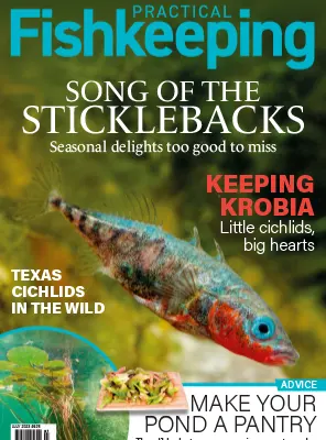 Practical Fishkeeping July 2023